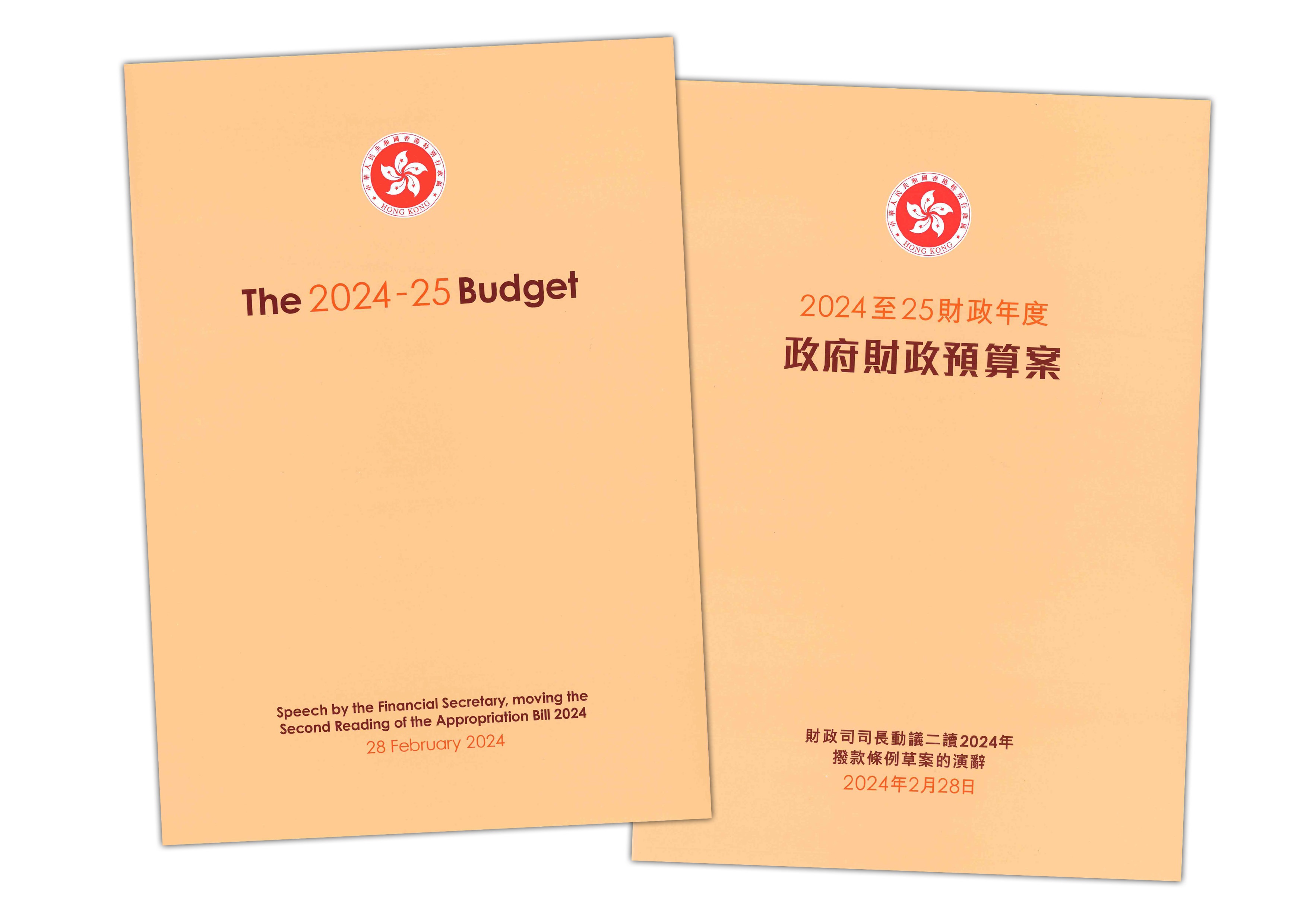 2024至25財政年度政府財政預算案