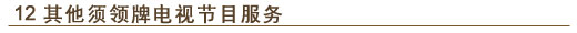 12. 其他须领牌电视节目服务