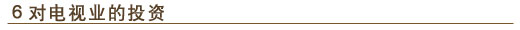 6. 对电视业的投资