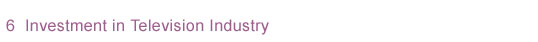 6. Investment in Television Industry